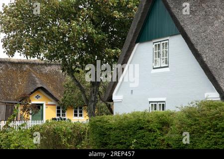 Traditionelle strohgedeckte Häuser im Dorf Sønderho, Fano / Insel Fanø, Dänemark. Stockfoto