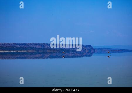 Der Lago Magadi ist der südlichste See im Kenia Rift Valley und liegt in einem Einzugsgebiet von vulkanischen Gesteinen nördlich von Tan Stockfoto