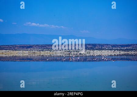 Der Lago Magadi ist der südlichste See im Kenia Rift Valley und liegt in einem Einzugsgebiet von vulkanischen Gesteinen nördlich von Tan Stockfoto
