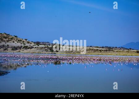 Der Lago Magadi ist der südlichste See im Kenia Rift Valley und liegt in einem Einzugsgebiet von vulkanischen Gesteinen nördlich von Tan Stockfoto