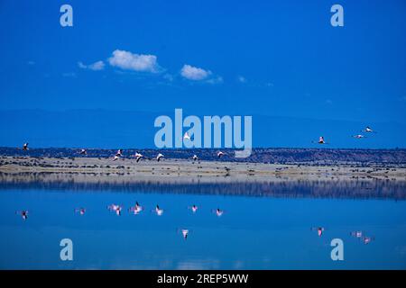 Der Lago Magadi ist der südlichste See im Kenia Rift Valley und liegt in einem Einzugsgebiet von vulkanischen Gesteinen nördlich von Tan Stockfoto