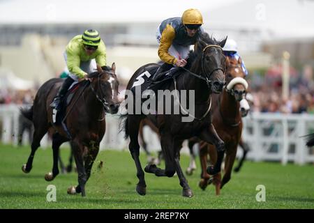 Indian Run (rechts), geritten von Jockey Daniel Tudhope auf dem Weg zum Gewinn des Greatwood Charity 25. Anniversary British EBF Crocker Bulteel Maiden Stakes während des QIPCO King George Day in Ascot Racecourse, Berkshire. Bilddatum: Samstag, 29. Juli 2023. Stockfoto