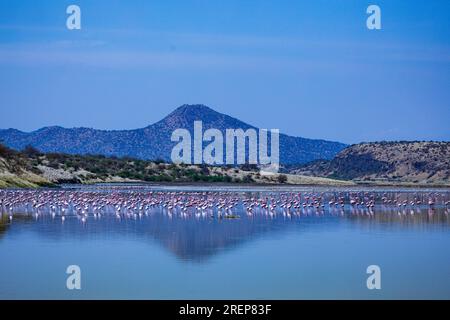 Der Lago Magadi ist der südlichste See im Kenia Rift Valley und liegt in einem Einzugsgebiet von vulkanischen Gesteinen nördlich von Tan Stockfoto
