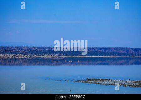 Der Lago Magadi ist der südlichste See im Kenia Rift Valley und liegt in einem Einzugsgebiet von vulkanischen Gesteinen nördlich von Tan Stockfoto