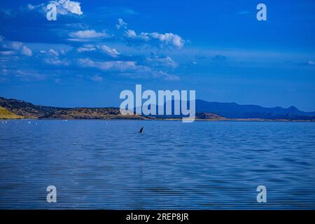 Der Lago Magadi ist der südlichste See im Kenia Rift Valley und liegt in einem Einzugsgebiet von vulkanischen Gesteinen nördlich von Tan Stockfoto