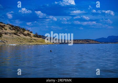 Der Lago Magadi ist der südlichste See im Kenia Rift Valley und liegt in einem Einzugsgebiet von vulkanischen Gesteinen nördlich von Tan Stockfoto