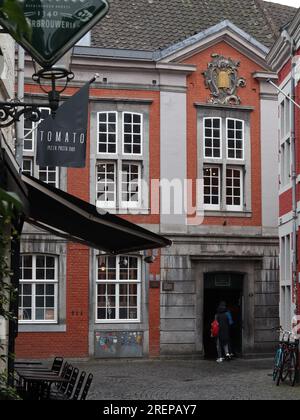 Die Wassermühle Bisschopsmolen (Bishop's Mill) befindet sich im Viertel Jeker in Maastricht, Niederlande Stockfoto