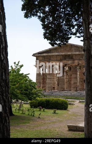 Archäologischer Park Paestum. Wunderschöne historische Ruinen von Tempeln aus römischen Zeiten, Kampanien, Salerno, Italien Stockfoto