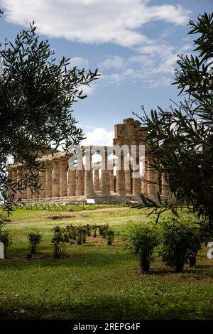 Archäologischer Park Paestum. Wunderschöne historische Ruinen von Tempeln aus römischen Zeiten, Kampanien, Salerno, Italien Stockfoto