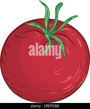 Tomate. Isoliertes Gemüse auf weißem Hintergrund Stock Vektor