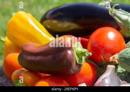 Auberginen, Paprika und Tomaten zum Essen Stockfoto