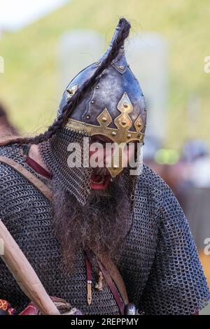 Reendarsteller beim York Wikingerfestival 2015 Stockfoto