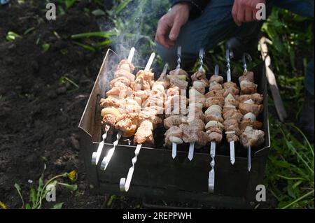 Fleischstücke auf Spießen auf dem Grill Stockfoto