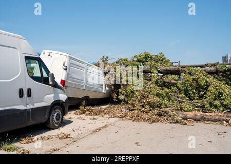 Beschädigter Lieferwagen durch einen umgestürzten Baum nach einem schweren Sturm. Stockfoto