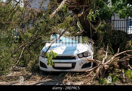 Ein großer Baum fiel auf das geparkte weiße Auto wegen Sturm und starkem Wind. Stockfoto