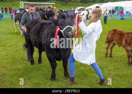 East Kilbride, Großbritannien. 29. Juli 2023. Mehrere tausend Besucher nahmen an der jährlichen Farm Show in East Kilbride in der Nähe von Glasgow, Schottland, Großbritannien, Teil. Die Show umfasste die Bewertung von Viehbeständen, Oldtimer-Landmaschinen, Schafscheren-Demonstrationen und Clydesdale-Pferderennen. Kredit: Findlay/Alamy Live News Stockfoto