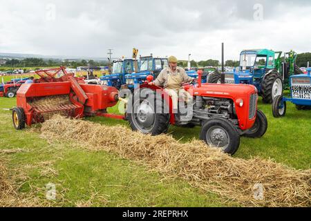 East Kilbride, Großbritannien. 29. Juli 2023. Mehrere tausend Besucher nahmen an der jährlichen Farm Show in East Kilbride in der Nähe von Glasgow, Schottland, Großbritannien, Teil. Die Show umfasste die Bewertung von Viehbeständen, Oldtimer-Landmaschinen, Schafscheren-Demonstrationen und Clydesdale-Pferderennen. Bild von ROB MUIR aus Newmilns, Ayrshire, bei der Heuballenherstellung mit seinem klassischen Massey Ferguson 35-Traktor 1964 mit einem Massey Ferguson-Heuballen 1964 und dem Ziehen eines Beauford-Ballenschlittens. Kredit: Findlay/Alamy Live News Stockfoto