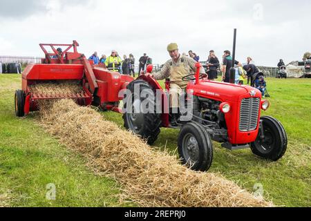 East Kilbride, Großbritannien. 29. Juli 2023. Mehrere tausend Besucher nahmen an der jährlichen Farm Show in East Kilbride in der Nähe von Glasgow, Schottland, Großbritannien, Teil. Die Show umfasste die Bewertung von Viehbeständen, Oldtimer-Landmaschinen, Schafscheren-Demonstrationen und Clydesdale-Pferderennen. Bild von ROB MUIR aus Newmilns, Ayrshire, bei der Heuballenherstellung mit seinem klassischen Massey Ferguson 35-Traktor 1964 mit einem Massey Ferguson-Heuballen 1964 und dem Ziehen eines Beauford-Ballenschlittens. Kredit: Findlay/Alamy Live News Stockfoto