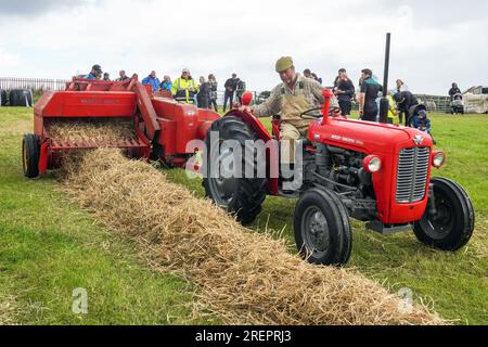 East Kilbride, Großbritannien. 29. Juli 2023. Mehrere tausend Besucher nahmen an der jährlichen Farm Show in East Kilbride in der Nähe von Glasgow, Schottland, Großbritannien, Teil. Die Show umfasste die Bewertung von Viehbeständen, Oldtimer-Landmaschinen, Schafscheren-Demonstrationen und Clydesdale-Pferderennen. Bild von ROB MUIR aus Newmilns, Ayrshire, bei der Heuballenherstellung mit seinem klassischen Massey Ferguson 35-Traktor 1964 mit einem Massey Ferguson-Heuballen 1964 und dem Ziehen eines Beauford-Ballenschlittens. Kredit: Findlay/Alamy Live News Stockfoto