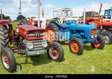 East Kilbride, Großbritannien. 29. Juli 2023. Mehrere tausend Besucher nahmen an der jährlichen Farm Show in East Kilbride in der Nähe von Glasgow, Schottland, Großbritannien, Teil. Die Show umfasste die Bewertung von Viehbeständen, Oldtimer-Landmaschinen, Schafscheren-Demonstrationen und Clydesdale-Pferderennen. Kredit: Findlay/Alamy Live News Stockfoto