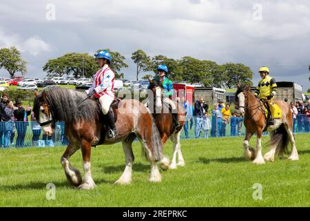 East Kilbride, Großbritannien. 29. Juli 2023. Mehrere tausend Besucher nahmen an der jährlichen Farm Show in East Kilbride in der Nähe von Glasgow, Schottland, Großbritannien, Teil. Die Show umfasste die Bewertung von Viehbeständen, Oldtimer-Landmaschinen, Schafscheren-Demonstrationen und Clydesdale-Pferderennen. Kredit: Findlay/Alamy Live News Stockfoto