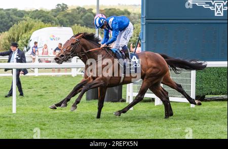 Ascot, London, Großbritannien. 29. Juli 2023 Hukum und Jockey Jim Crowley gewinnen die 2023 King George VI und Queen Elizabeth QIPCO Stakes für Trainer Owen Burrows und Eigentümer Shadwell Estate Company Limited in Ascot Racecourse, Berkshire, Großbritannien. Kredit: JTW Equine Images/Alamy Live News Stockfoto