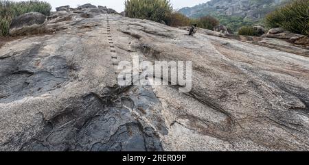 12 24 2014 antike Barabar Hills Höhlen Treppen wurden während der Ashoka-Ära geformt, um die Höhlen in der Nähe des Dorfes Makhdumpur in Jehanaba zu besteigen Stockfoto