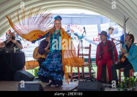 London, Großbritannien. 29. Juli 2023 Ein Mitglied der Illusion Flamenca tritt auf der Bühne der Feria de Londres auf, einer Feier der andalusischen und spanischen Kultur, die dieses Jahr im Wembley Park stattfindet. Flamenco-Tänzer, Musiker, spanisches Essen und mehr sind in diesem familienfreundlichen Wochenendevent zu finden. Kredit: Stephen Chung / Alamy Live News Stockfoto