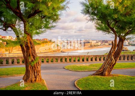 Sehen Sie den Strand und die Küste von Biarritz, Südwesten Frankreichs um den Sonnenuntergang herum Stockfoto