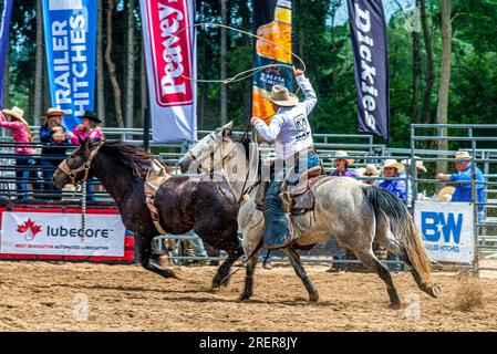 Canada Rodeo. ERIN ONTARIO RAM RODEO - am 22-23. Juli fand in Erin, Ontario, ein Rodeo-Wettbewerb statt. Pferde und Stiere reiten. Pferdeslalom. Stockfoto