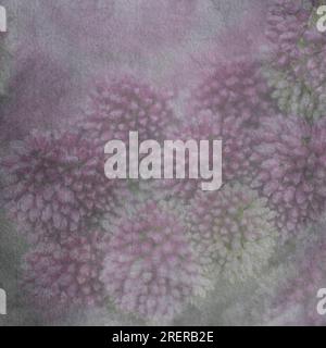 Fotos von Blumen mit überlagerter Textur. Tapete. Quadratischer Rahmen. Lila Zwiebelbouquet (Allium bulgaricum). Vintage Wallp Stockfoto