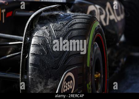 Stavelot, Belgien. 29. Juli 2023 Reifen, pneus, Reifen, pneu, Rauchen während der MSC Cruises 2023 Formel 1 Grand Prix in Belgien, 12. Runde der Formel-1-Weltmeisterschaft 2023 vom 28. Bis 30. Juli 2023 auf dem Circuit de Spa-Francorchamps in Stavelot, Belgien Kredit: Independent Photo Agency/Alamy Live News Stockfoto