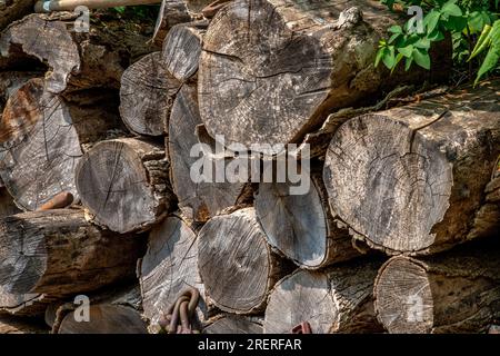 Großer Haufen gewürzter Holzstämme für Brennholz, ordentlich im Freien gestapelt Stockfoto