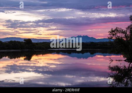 Golden Hour Sonnenaufgang am unteren Salt River Stockfoto