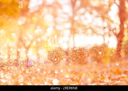 Verschwommenes abstraktes Foto von Lichtstrahlen zwischen Bäumen und glitzernden goldenen Bokeh-Lichtern. Stockfoto