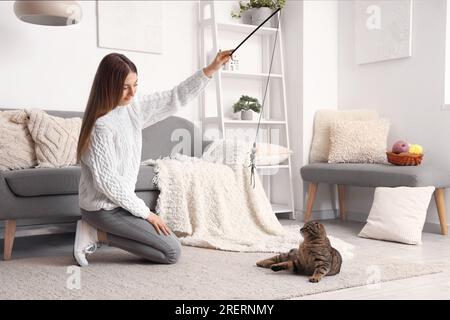 Frau, die zu Hause mit gestreifter schottischer Faltkatze spielt Stockfoto