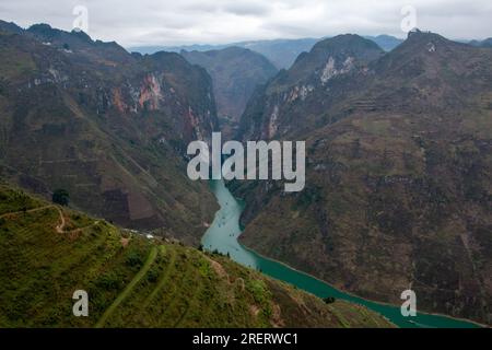 Blick über Reisterrassen am Ma Pi Leng Pass auf der malerischen Ha Giang Loop in Vietnam hinunter zur Nho Que River Gorge, umgeben von steilen Bergen Stockfoto