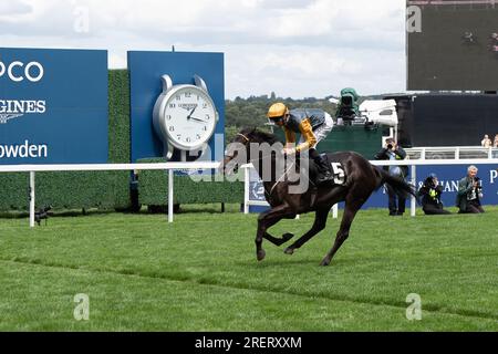 Ascot, Berkshire, Großbritannien. 29. Juli 2023. Pferdeindianerlauf geritten von Jockey Daniel Tudhope gewinnt den Greenwood Charity 25. Jubiläum British EBF Crocker Bulteel Maiden Stakes auf der Ascot Rennbahn am QIPCO King George Day. Besitzer Bronte Kollektion. Trainer Eve Johnson Houghton Blewbury. Kredit: Maureen McLean/Alamy Live News Stockfoto