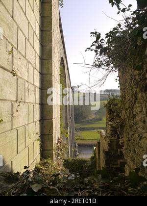 Calstock, Cornwall, Großbritannien - März 2022: Vertikale Aufnahme der Nordseite des Calstock Viaduct, von der Commercial Road aus gesehen. Stockfoto