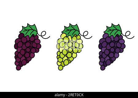 Traubenbündel-Kritzelset. Wein- und Tafeltrauben-Cluster. Verschiedene Elemente isoliert. Darstellung der Vektorkontur. Handgezeichnete niedliche Kritzeleien Stock Vektor