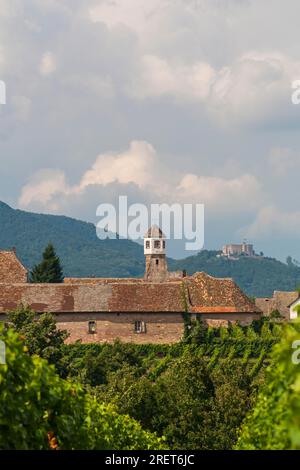 Heilbrucker Kloster, früher Zisterzienserkloster, heute ein Weingut, Burg Hambach im Hintergrund Stockfoto