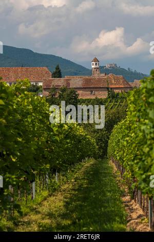 Heilbrucker Kloster, früher Zisterzienserkloster, heute ein Weingut, Burg Hambach im Hintergrund Stockfoto