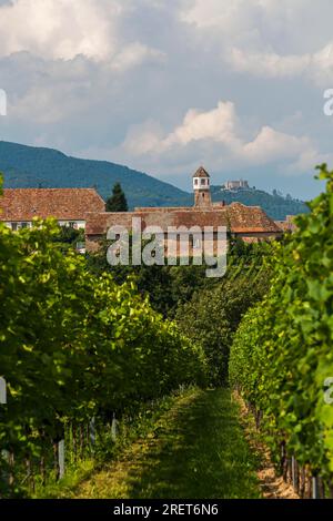 Heilbrucker Kloster, früher Zisterzienserkloster, heute ein Weingut, Burg Hambach im Hintergrund Stockfoto