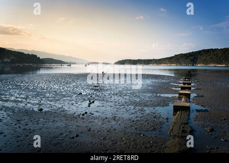 Ebbe am Strand der Palit Bucht von Eufemija auf der Insel Rab Kroatien Stockfoto