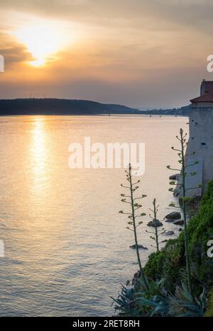 Rückseite der Stadt Rab mit Eufemija-Kanal und Agavenpflanzen bei Sonnenuntergang Stockfoto