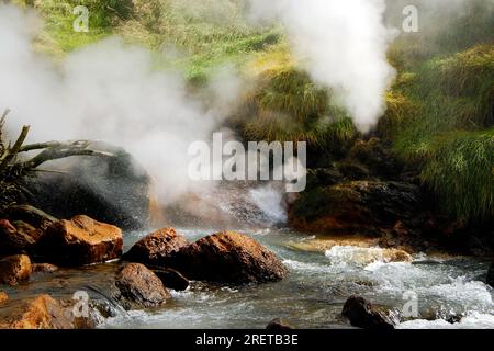Tal der Geysire, Kronotsky-Nationalpark, Kamtschatka-Halbinsel, Kamtschatka, Russland Stockfoto