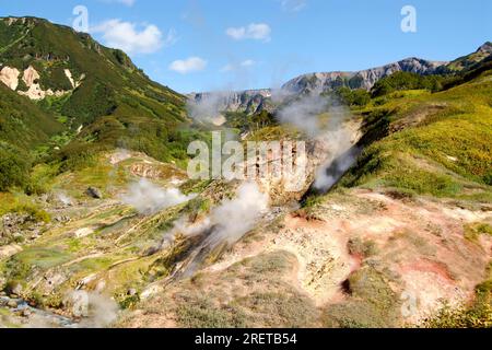 Tal der Geysire, Kronotsky-Nationalpark, Kamtschatka-Halbinsel, Kamtschatka, Russland Stockfoto