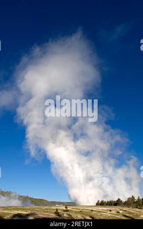 Geysirausbruch im oberen Geysirbecken im Yellowstone N.P., Wyoming, USA Stockfoto
