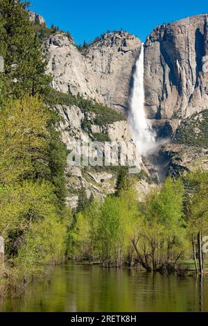 Spiegelähnliches Wasser spiegelt den hoch aufragenden Wasserfall des Yosemite im Frühlingsgrün wider. Stockfoto