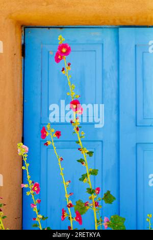 Ranchos de Taos, New Mexico, USA - 23. Juli 2023: Rote Blumen kontrastieren mit den blau bemalten Holztüren eines traditionellen, südwestlichen lehmhauses. Stockfoto